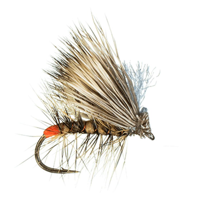 Dark Wing Gray Elk Hair Caddis fly pattern for trout fishing