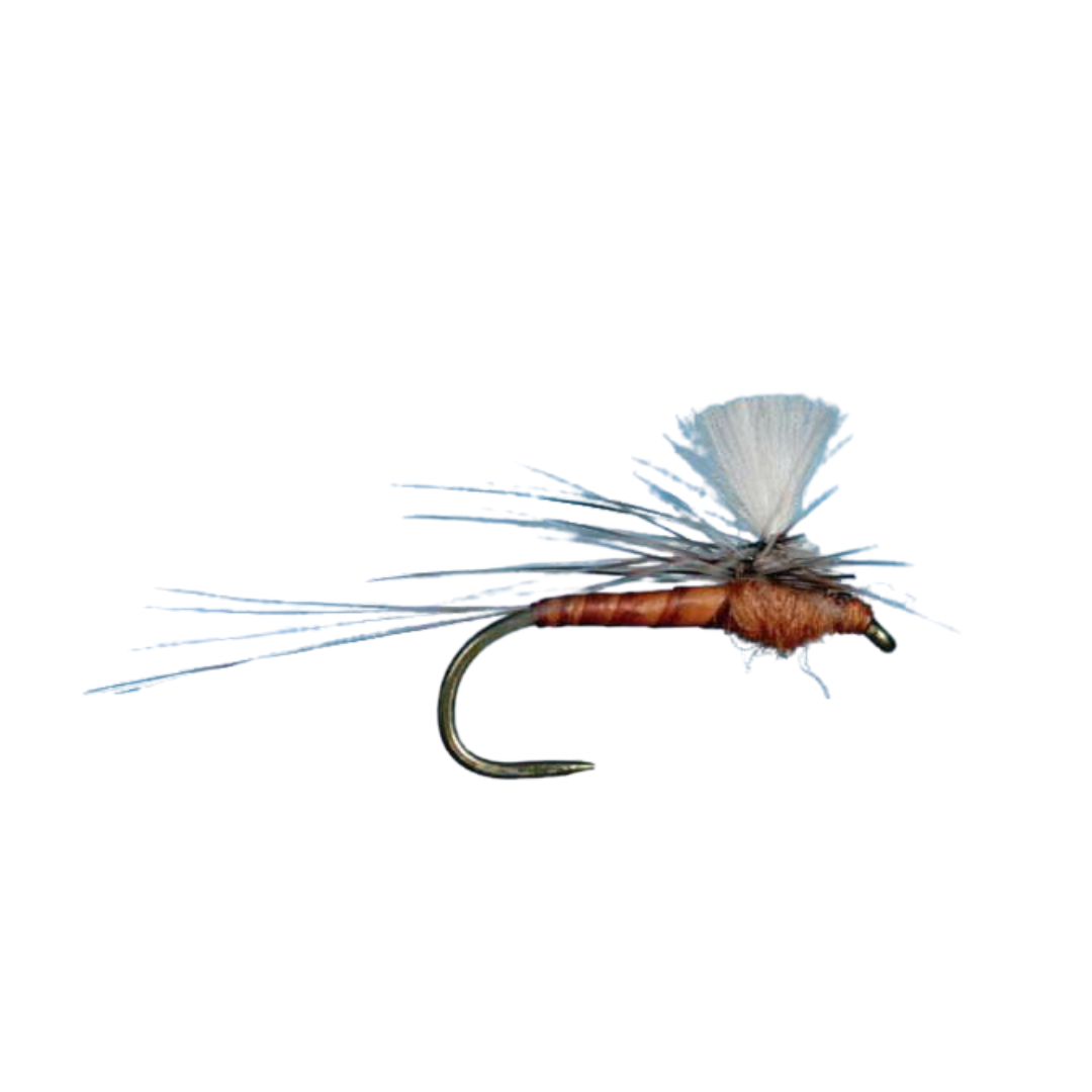 CDC Para-spinner BWO