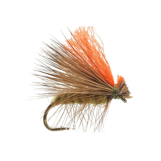 Hot Worm - Rootbeer Red - Size 6