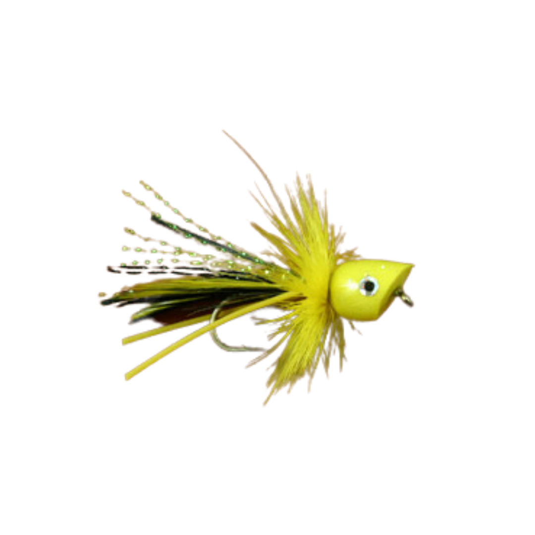 Micro Popper - Yellow - Size 10