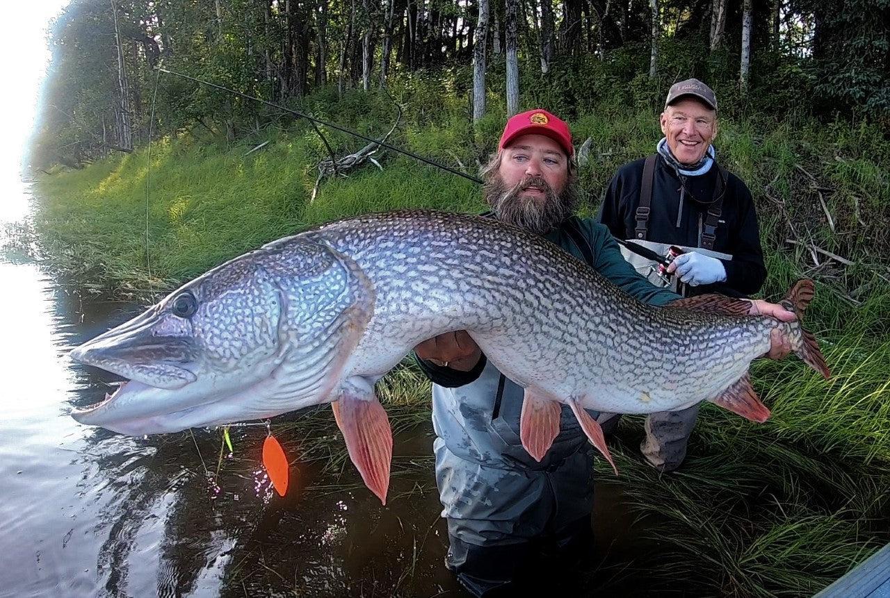 Huge mouth on this Northern Pike. : r/Fishing