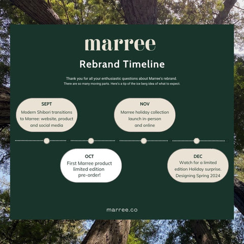 Marree Timeline Graphic