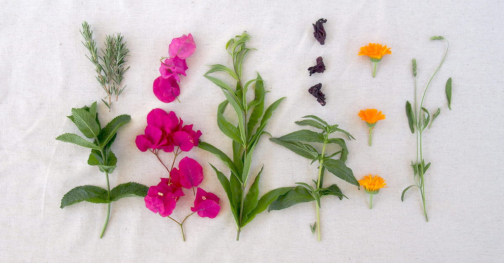 natural plant dyes from my garden