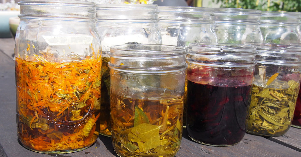 Plant dyes fermenting