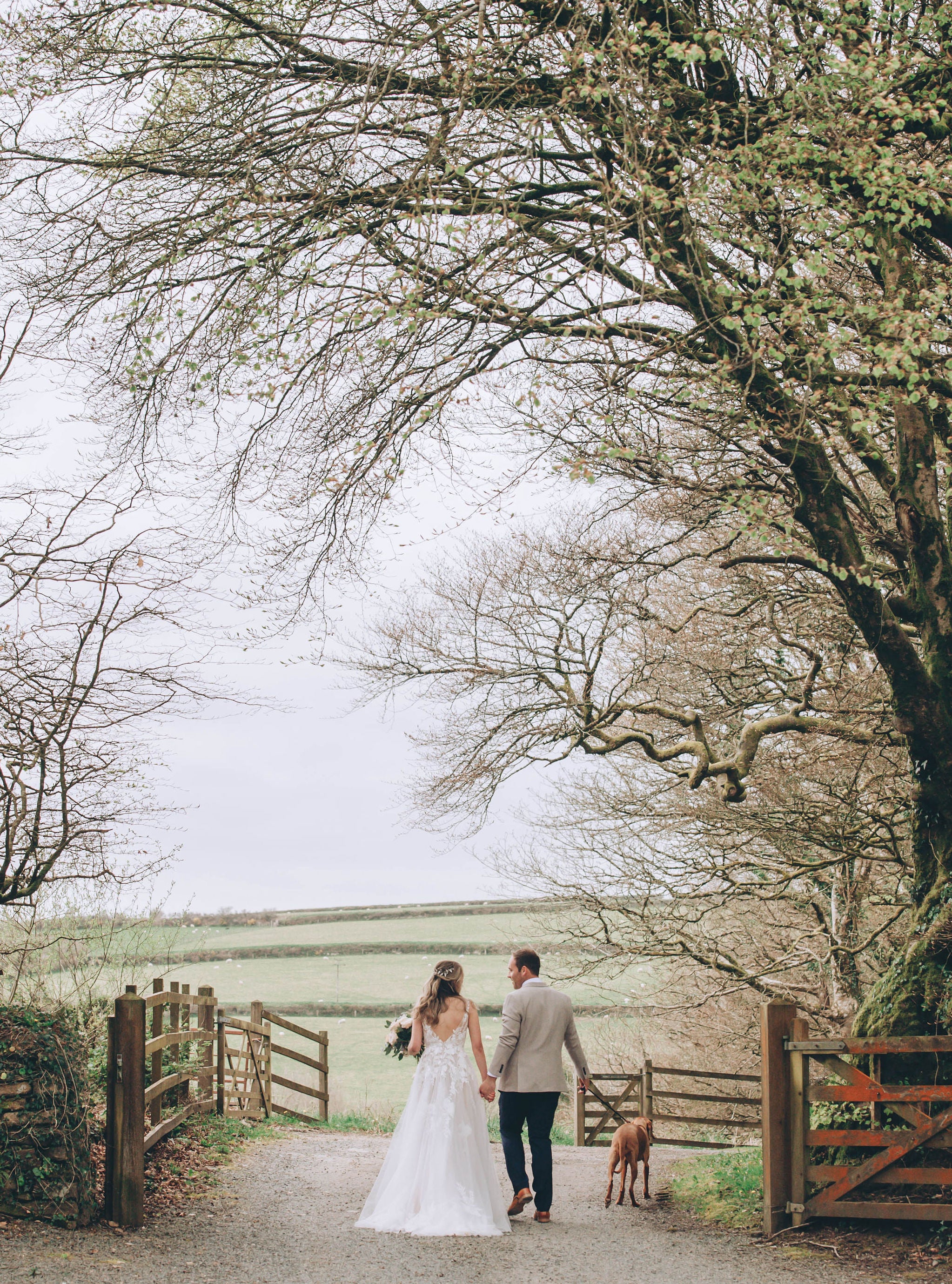 Wedding couple walking into the woods at Trevenna barns