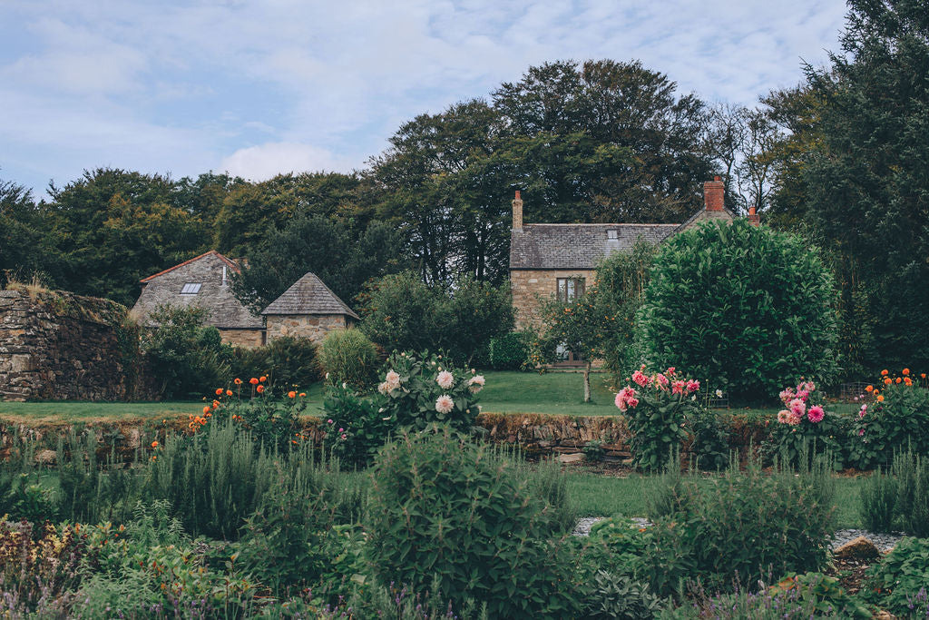 Evening in the herb garden at Trevenna barns