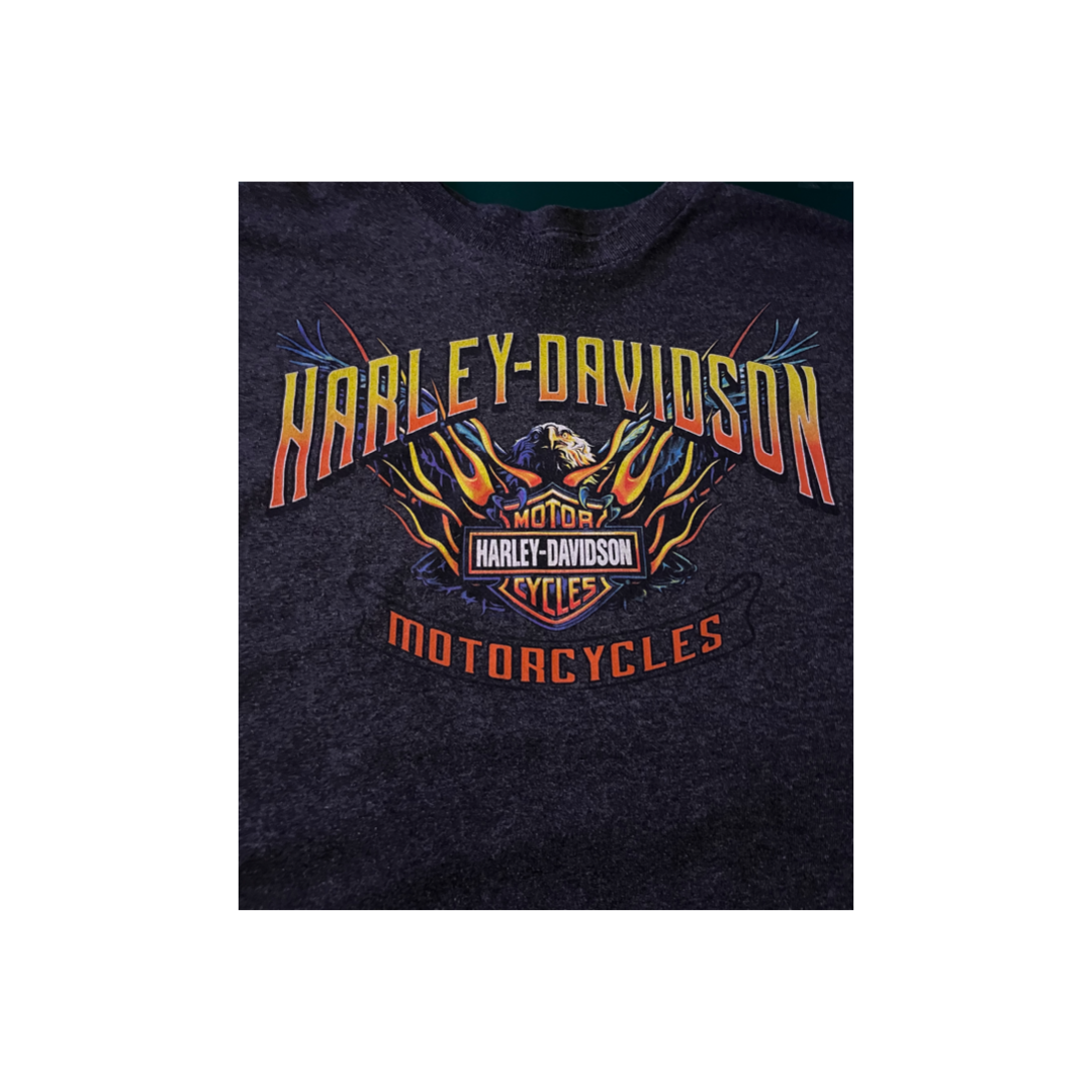 Vintage Harley Davidson T-shirt – Eternal Vintage Museum