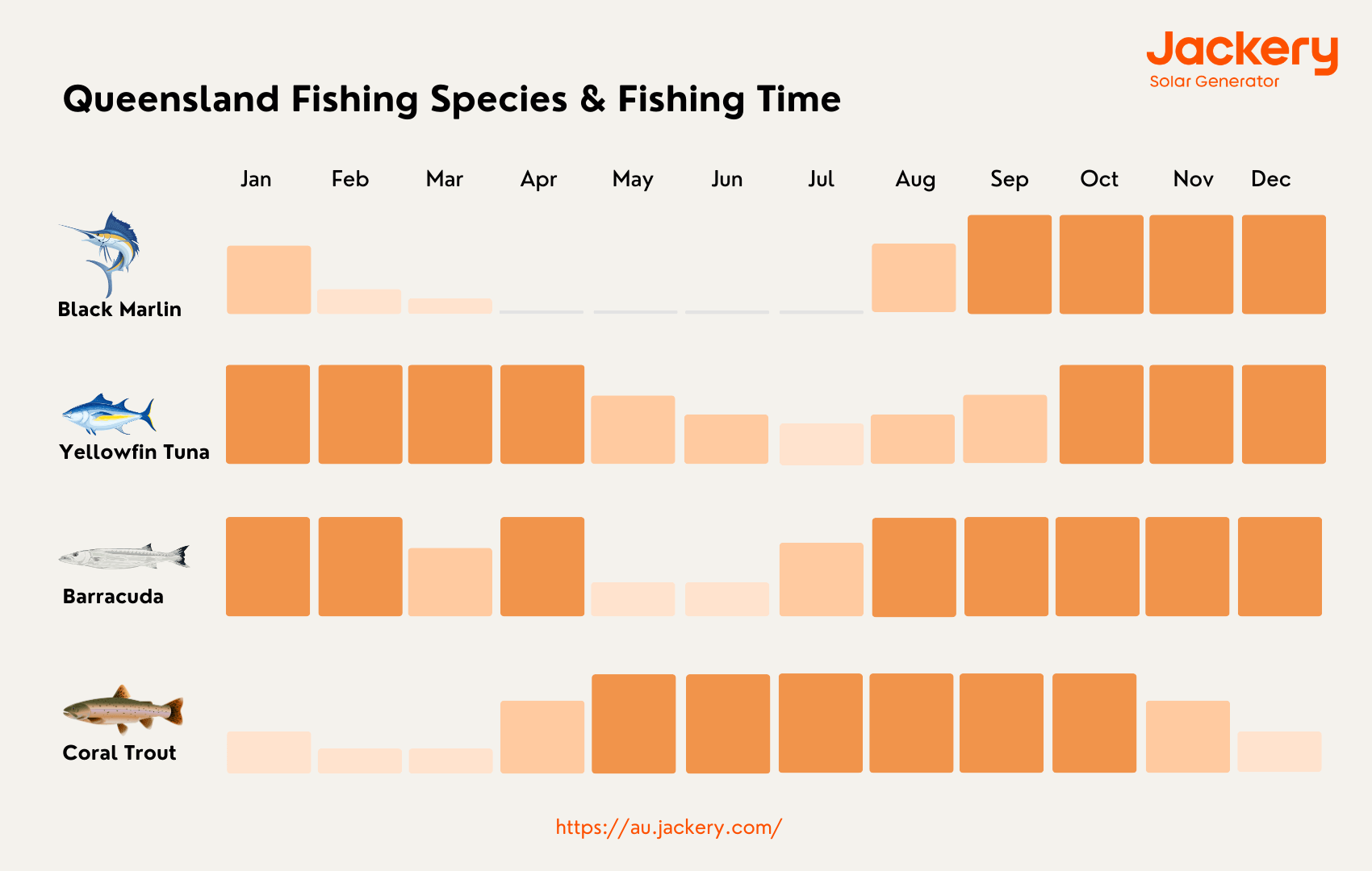 queensland fishing species and time