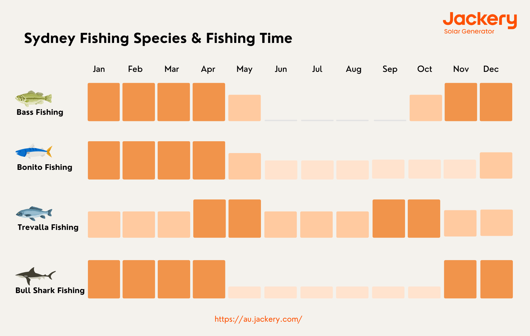 sydney fish species and fish time