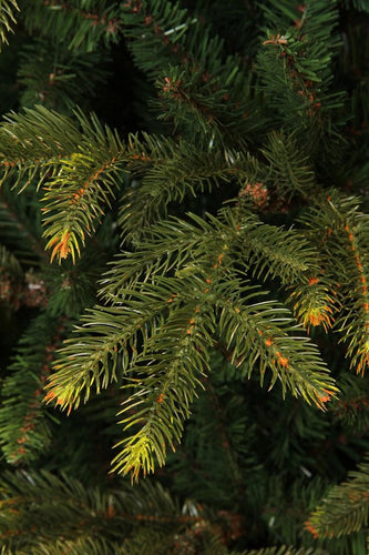 Black Box Trees Frasier Kunstkerstboom - H185 x Ø124 cm - Groen - 3e02da6de5322bb8560d839937d1e5e2d7b5a8fb_Enriched_product_image__11_982c91fd-b46a-4458-a39c-57dd2afd808a
