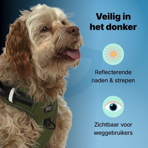 Jake en Jacky - Hondentuigje - Anti-Trek Tuig - Hondenharnas - Y Tuig Hond - Reflecterend - M - Groen - 56cb4aea85a43412e60673fa4a0d76a87e460f02_Enriched_product_image_23ed02da-a413-4607-a725-f66cfe3615f4