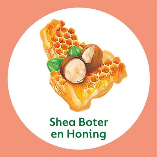 Dettol Handzeep Honing & Vanille (Nourish) - 250ml - Voedend - 671272366c5bc4934e2212830b0344282b1b425d_Enriched_product_image_4e000eb0-0c65-4fbb-a8f9-16bc6b8d5972