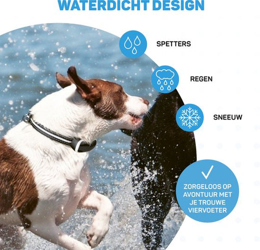 Anti Blafband Pro met LED - Opvoedingshalsband Zonder Schok - Anti Blaf Apparaat voor Kleine en Grote Honden - Waterdicht, Oplaadbaar en Verlichting - Vibratie en Audio - 834cce3cafe1fb12be1f0fa1091c60404e8b7903_Enriched_product_image_8c53a999-bd3b-4dfc-ae9c-a98c881ecddf