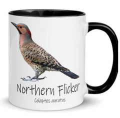 Northern Flicker Mug