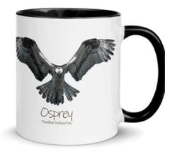 Osprey Mugs