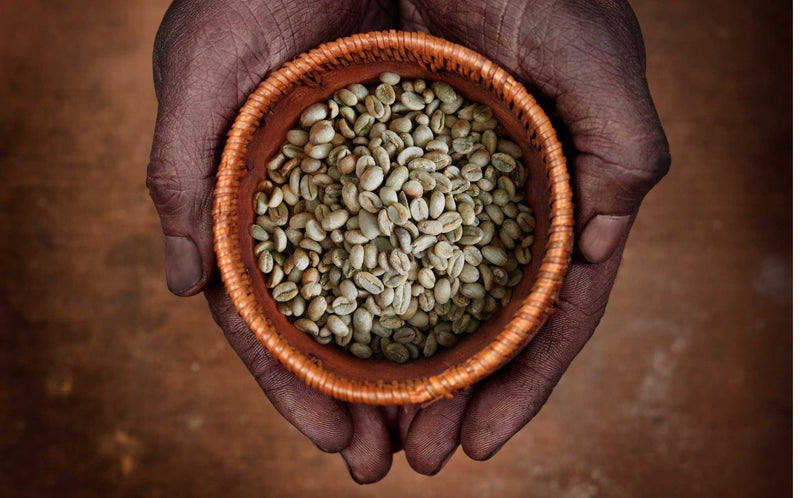 Ethiopian Yirgacheffe: caffè specialty, regione meridionale dell'Etiopia