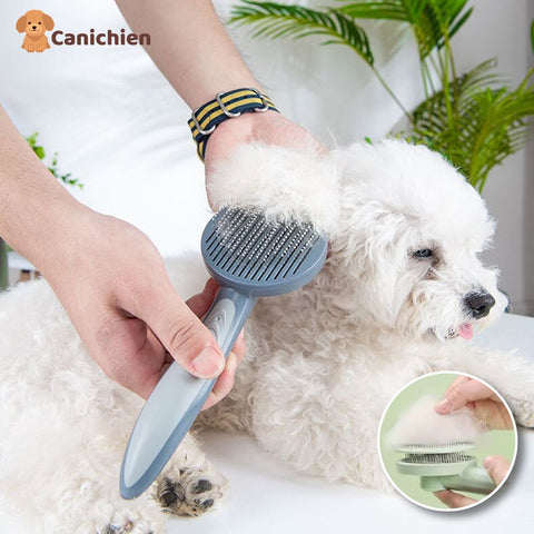 brosse-pour-chien