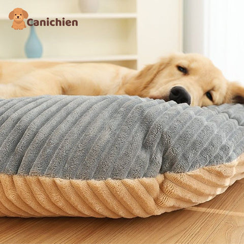 coussin-anti-stress-chien-apaisant