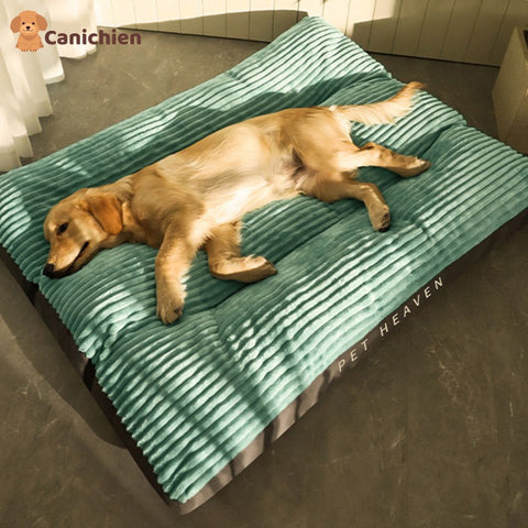 coussin-chien-xxl