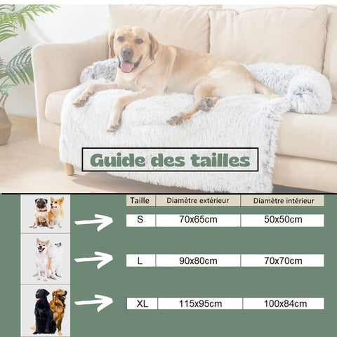 coussin-chien-taille