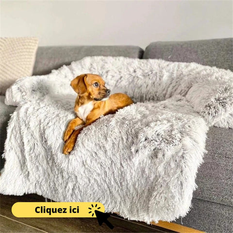 coussin-chien-dehoussable