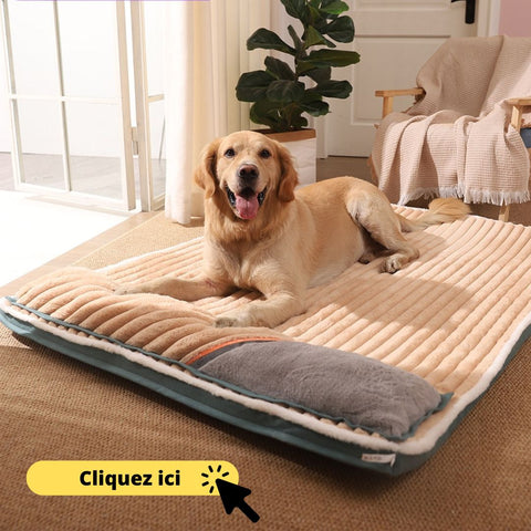 coussin-chien-dehoussable