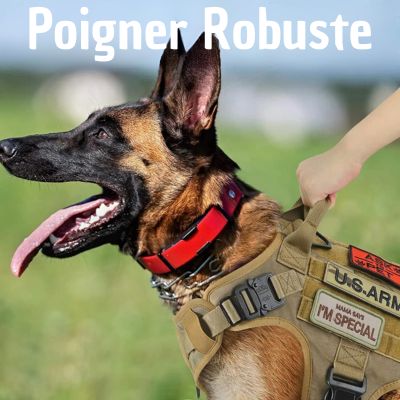 harnais-anti-traction-chien-poigner