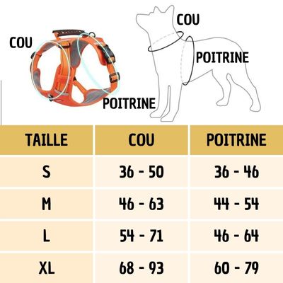 harnais-anti-traction-chien-taille