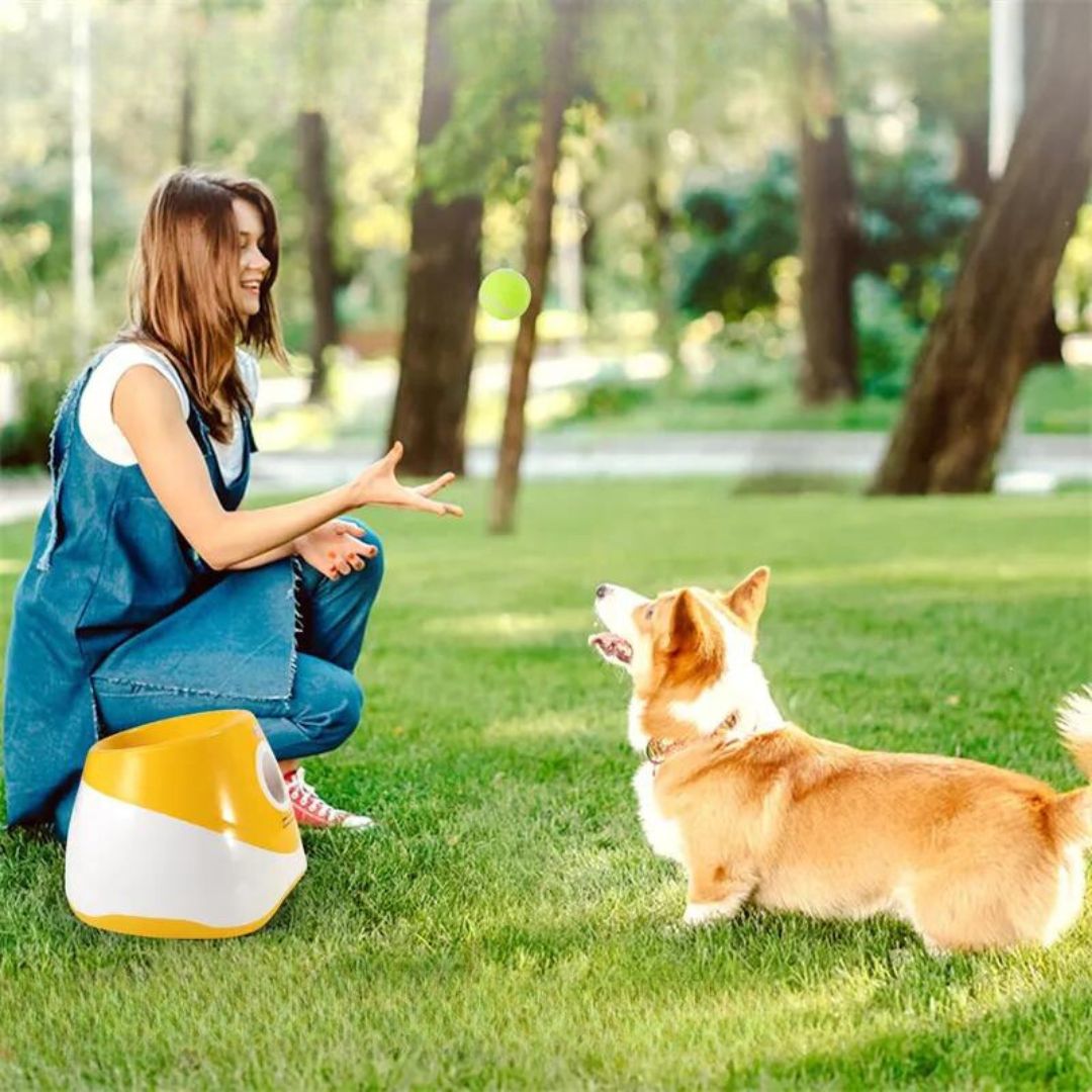 lanceur-de-balle-pour-chien-avantage