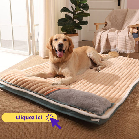 coussin-pour-chien-orthopédique