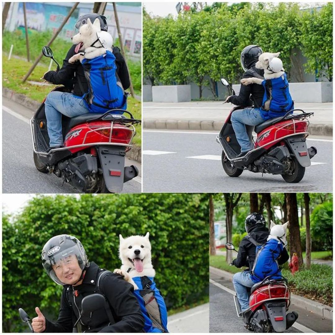 sac-a-dos-chien-mobiliter