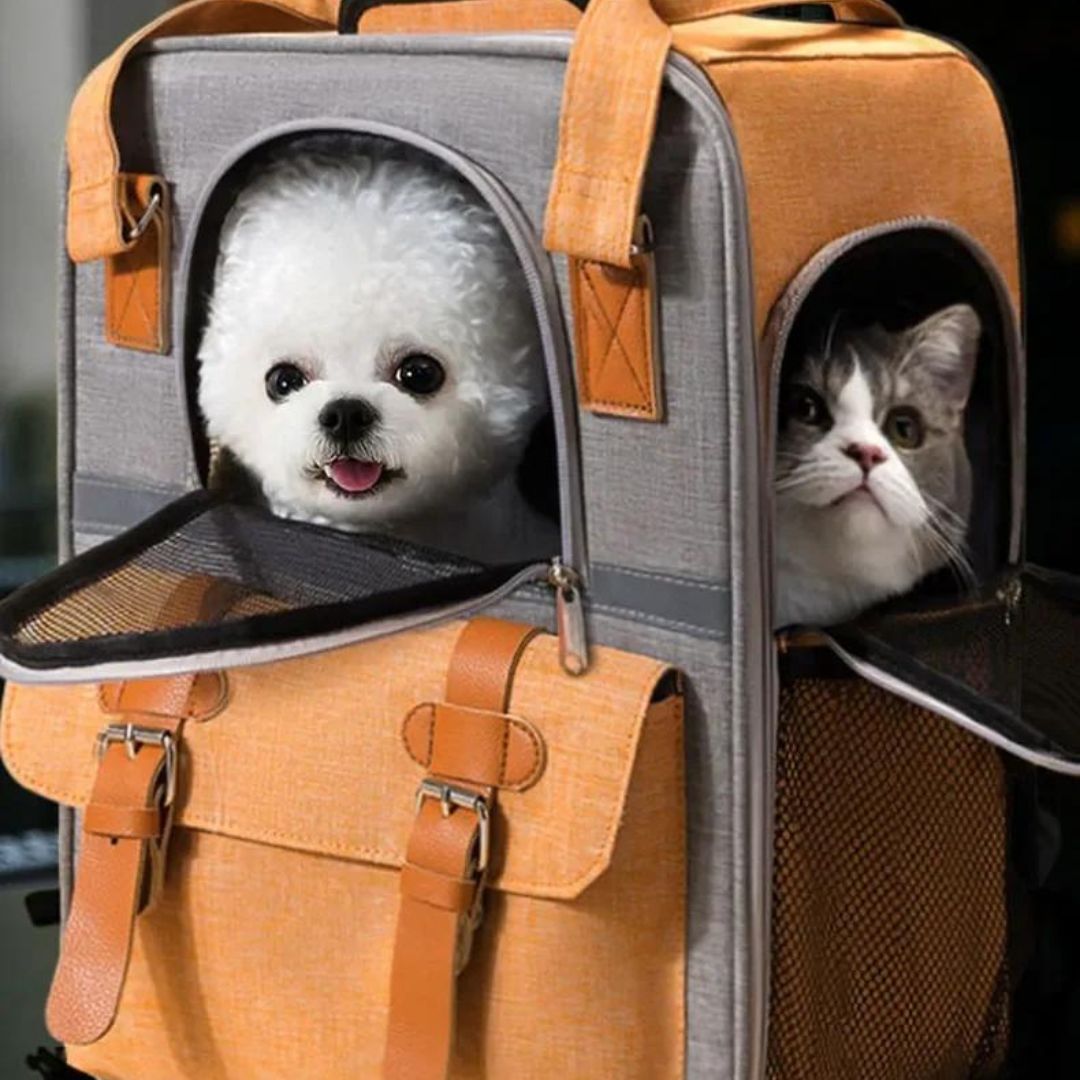 sac-a-dos-chien-et-chat