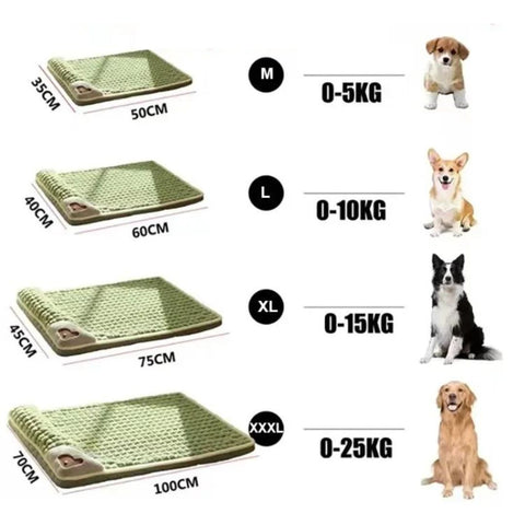 tapis-chien-taille