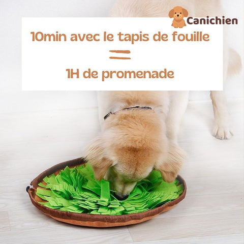 tapis-de-fouille-chien-différence