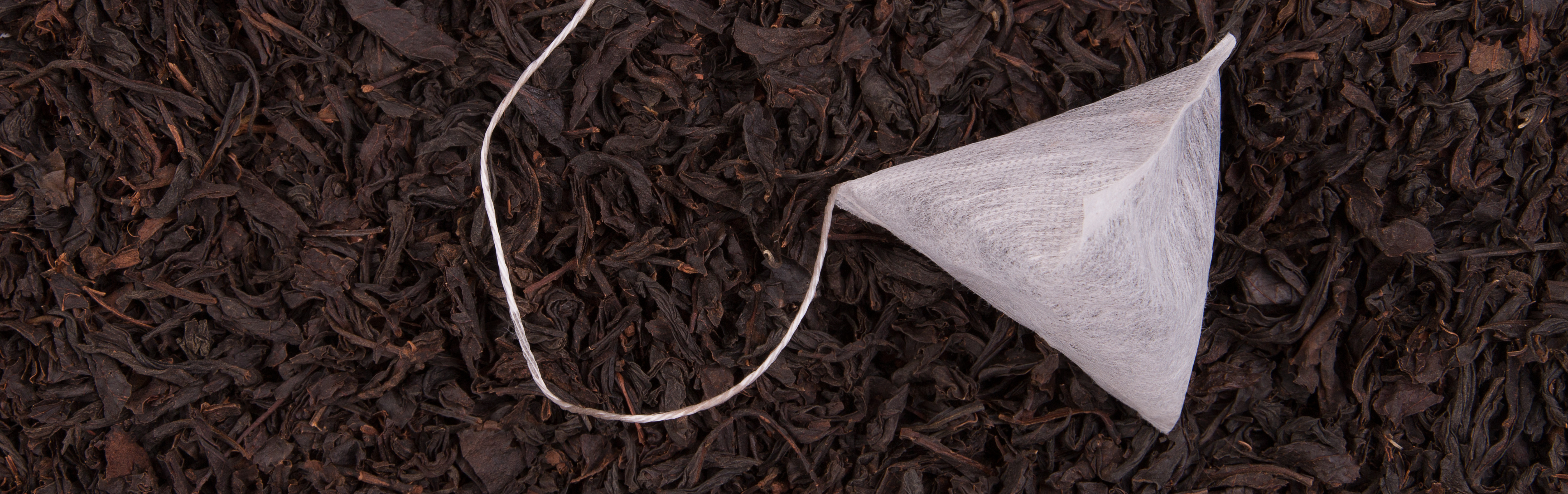 Loose Tea + Tea Bag