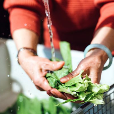 The image shows a person cleaning or washing a bunch of green leaves near the sink.
