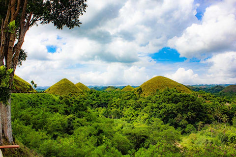 panglao island philippines chocolate hills grass mounds