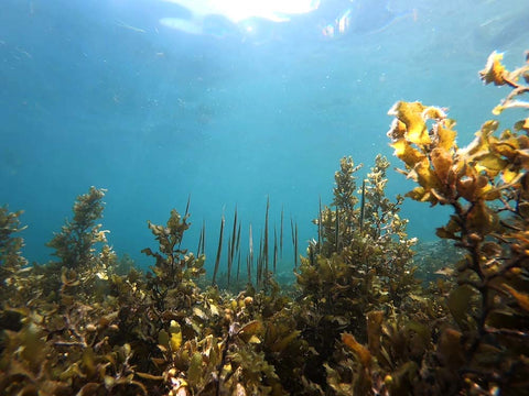 margaret river region australia deep water