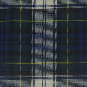 gordon plaid fabric