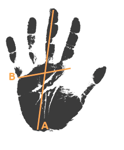 How to measure MotoGirl gloves