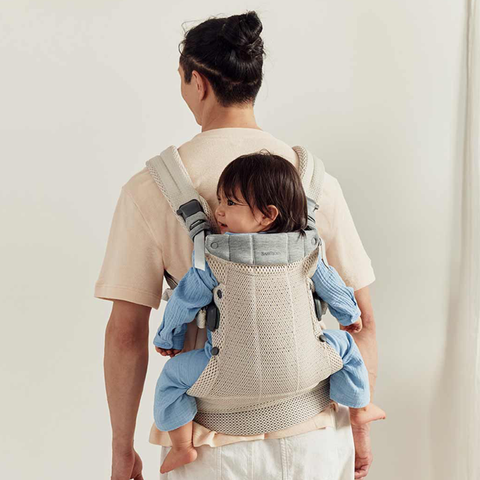 babybjorn mesh carrier