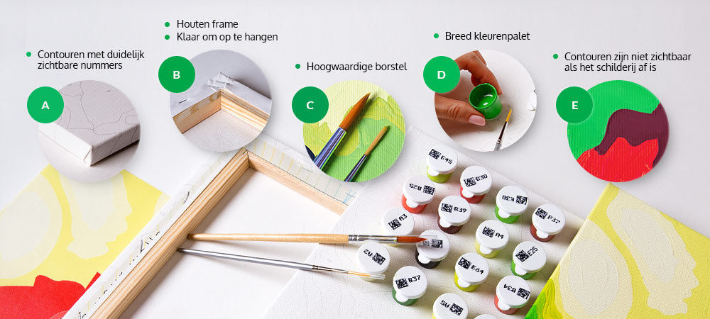 Schilderij kit voor volwassenen