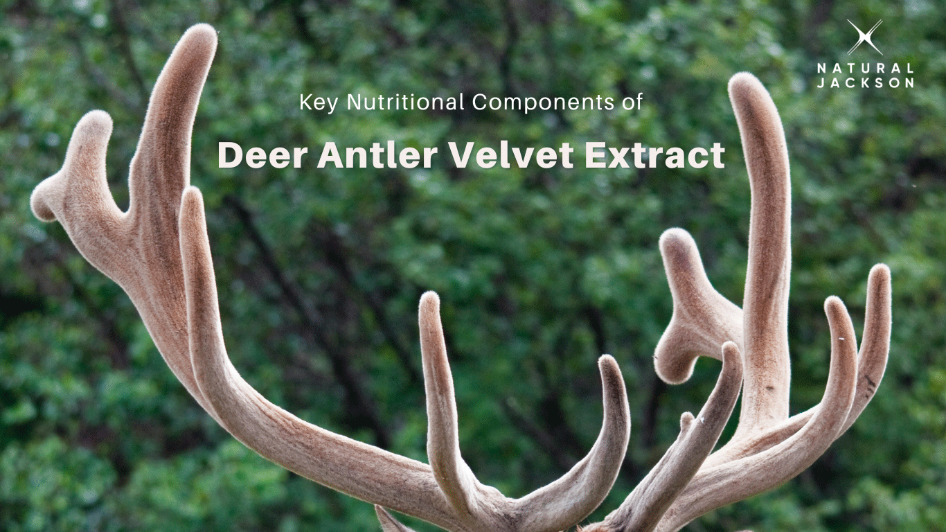 Deer Antler Velvet Extract Benefits: What You Need to Know