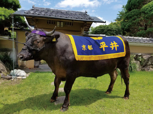 京都丹波地域の世界ランクの黒毛和牛「平井牛」