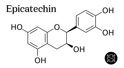 Epicatechin Chemical Structure