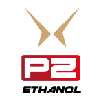 PC P2 System