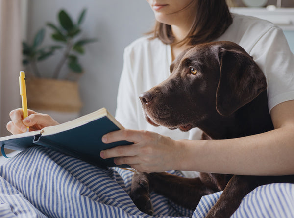 A woman sits in bed with a dog while she writes in a journal.