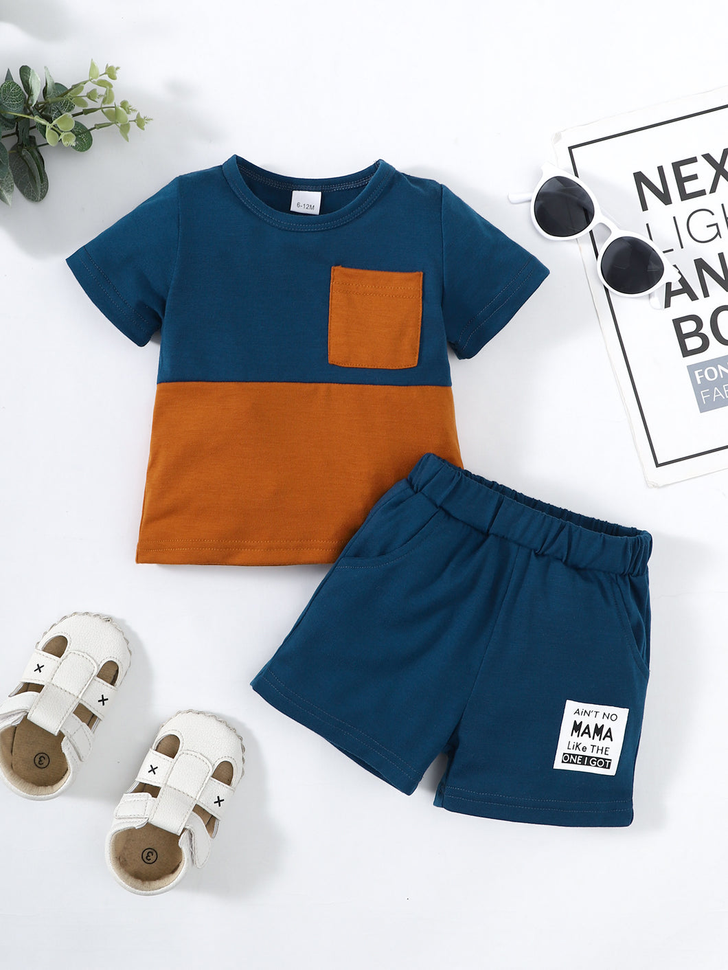 Boys Color Block Tee Shirt and Shorts Set