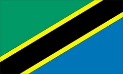 Tanzania flag