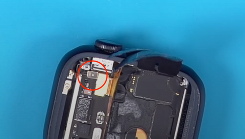 Reconnecting the third ribbon connector in the Apple Watch Series 7 before installing the taptic engine.